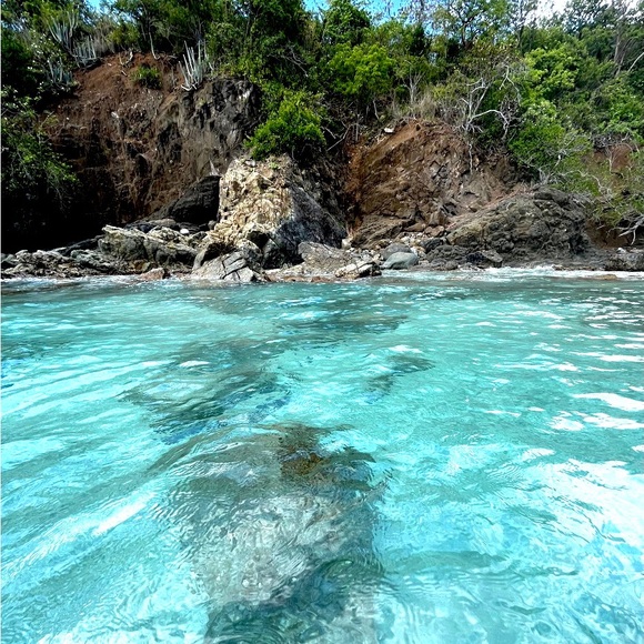 Meet your Posher, Belle - Picture 1 of 1